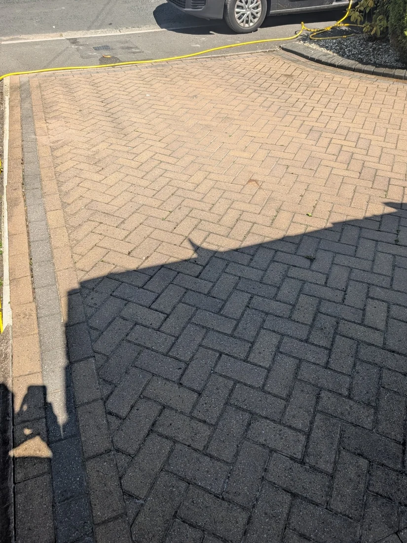 Driveway second angle before cleaning