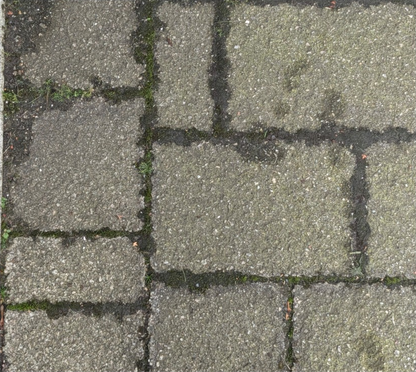 Close-up of moss and organic growth in block paving before cleaning in Milnrow